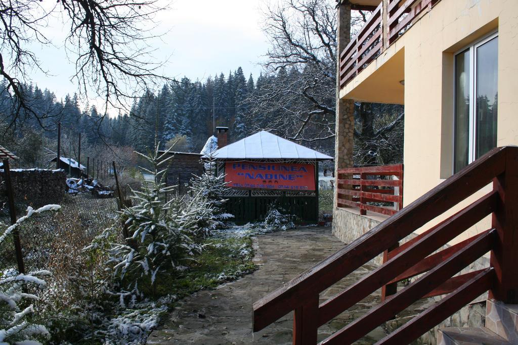 Pensiunea Nadine Hotel Agapia Bagian luar foto